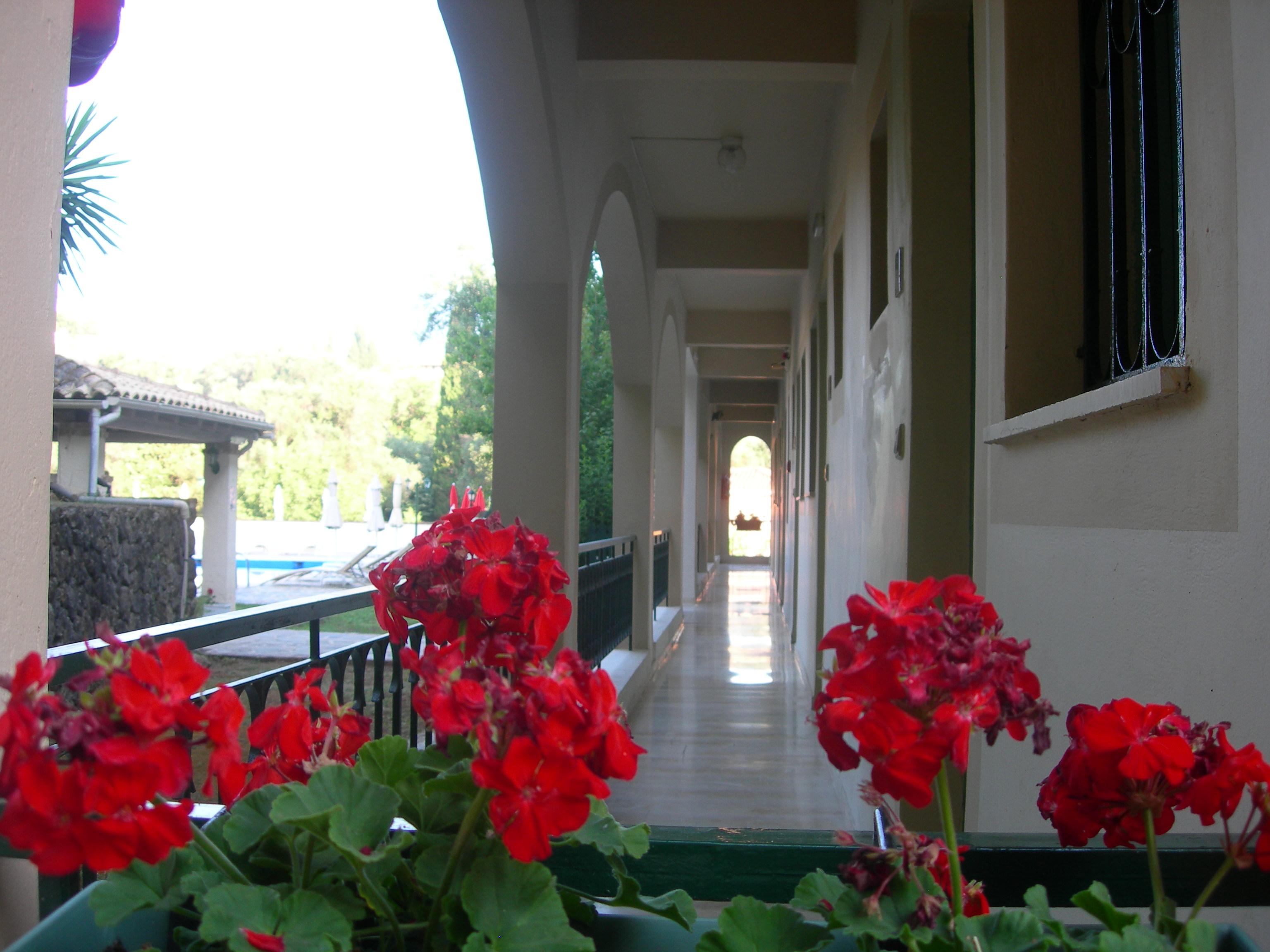 Villa Karmar Hotel Apartments 达西亚 外观 照片